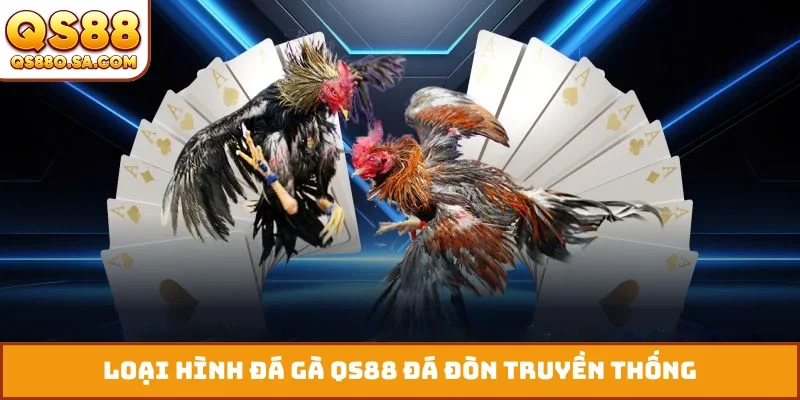 Loại hình đá gà QS88 đá đòn truyền thống